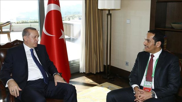 وزیر خارجه قطر با اردوغان دیدار کرد