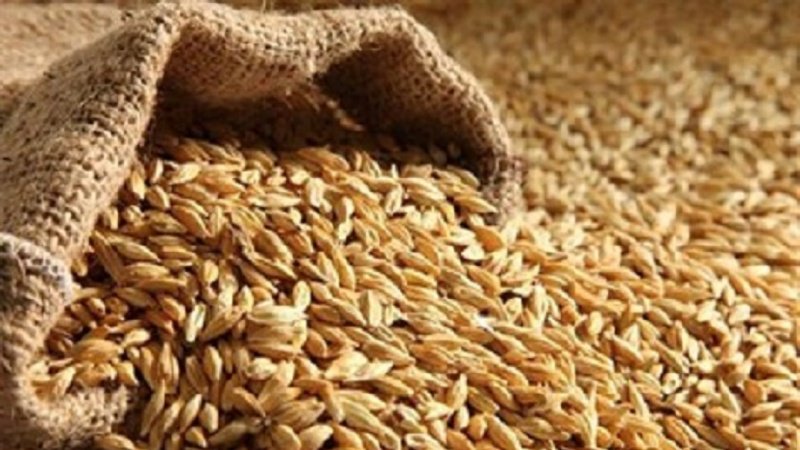 واردات 684 هزارتن گندم و32 هزارتن آرد به تاجیکستان