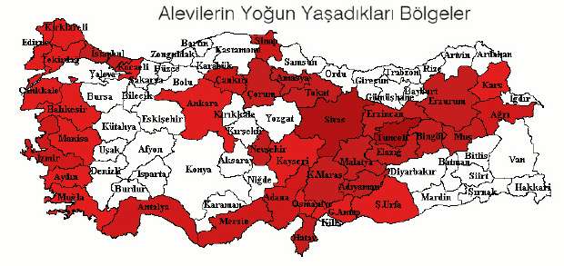 حدود بیست میلیون شیعه و علوی در ترکیه زندگی می کنند/ آینده ی اسلام در دست تشیع است